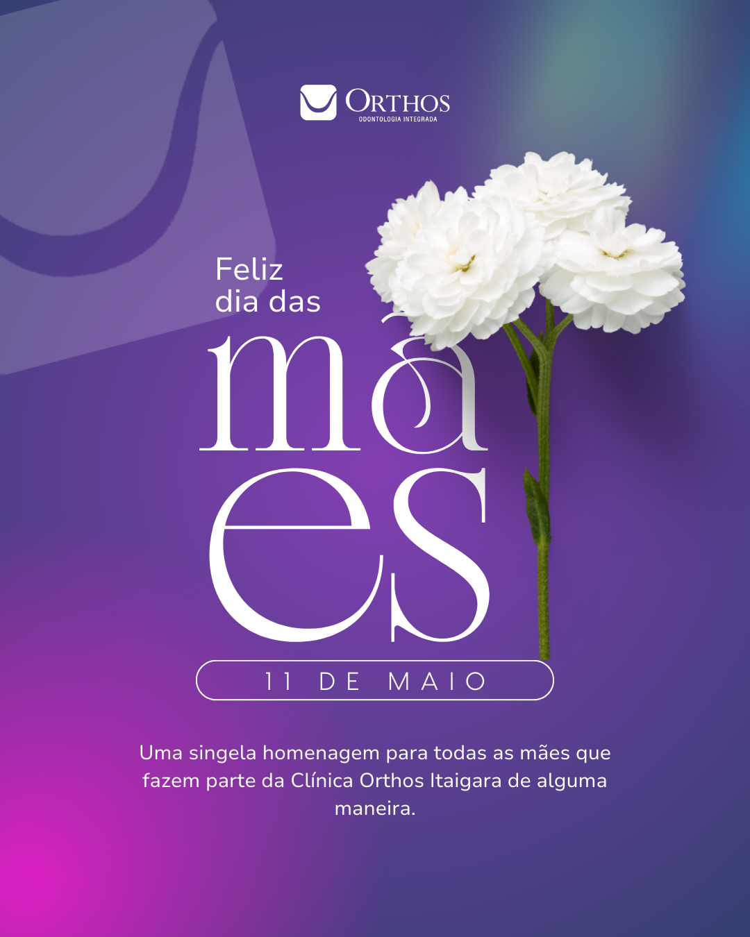 ORTHOS_ITAIGARA (8).png